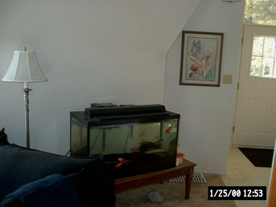 fishtank